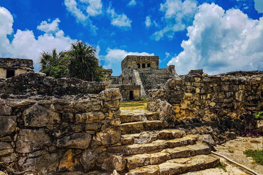 Tulum, turtles & cenote