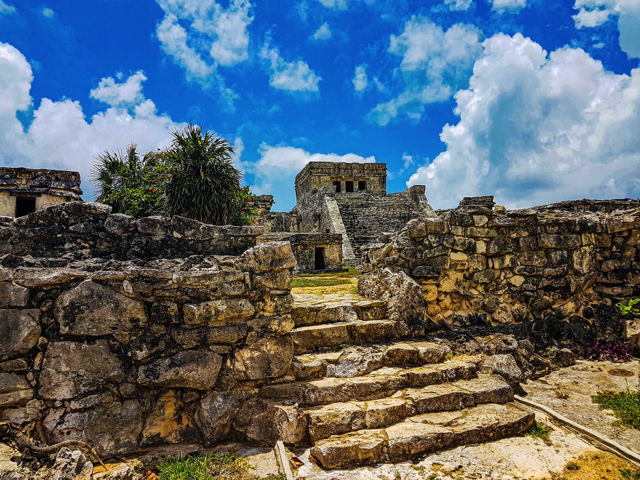 Tulum, turtles & cenote