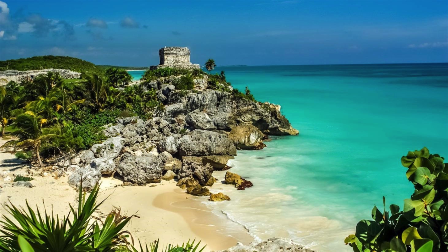 Tulum, turtles & cenote