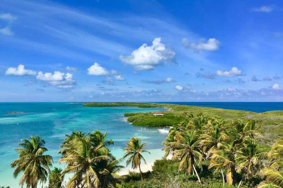 Isla Contoy & Isla Mujeres